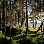 Semesterbostad Tahkuna Tree-house Malvaste