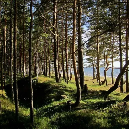 Сasa de vacaciones Tahkuna Tree-house Malvaste