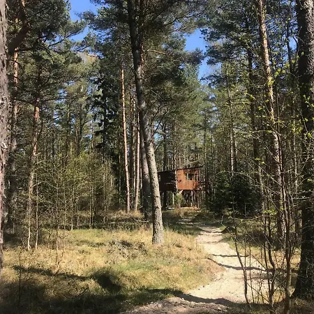 Tahkuna Tree-house *