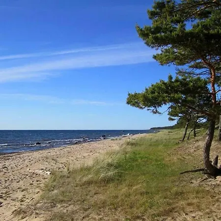 Tahkuna Tree-house * Malvaste