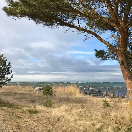 Дом отдыха Tahkuna Tree-house