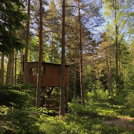 Tahkuna Tree-house