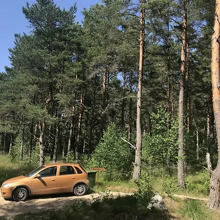 Tahkuna Tree-house *