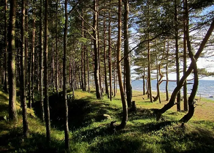 Дом отдыха Tahkuna Tree-house Malvaste