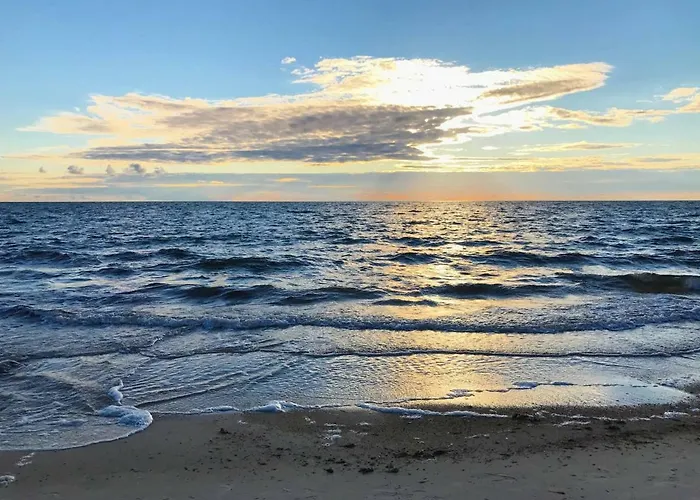Tahkuna Tree-house Malvaste