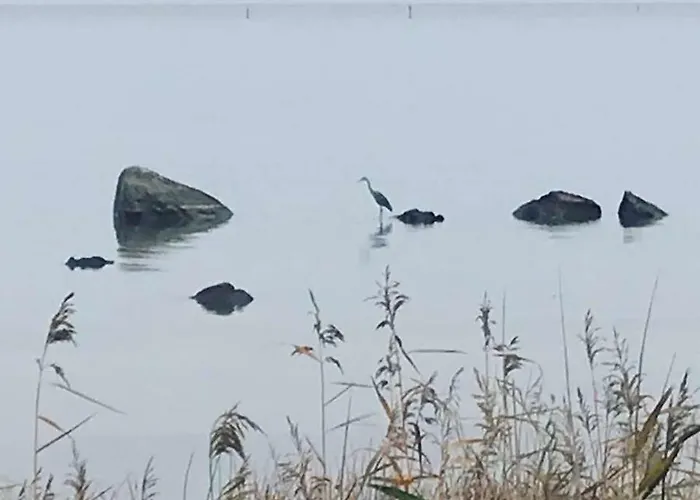 Дом отдыха Tahkuna Tree-house *