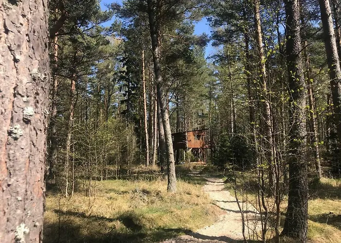 Tahkuna Tree-house *