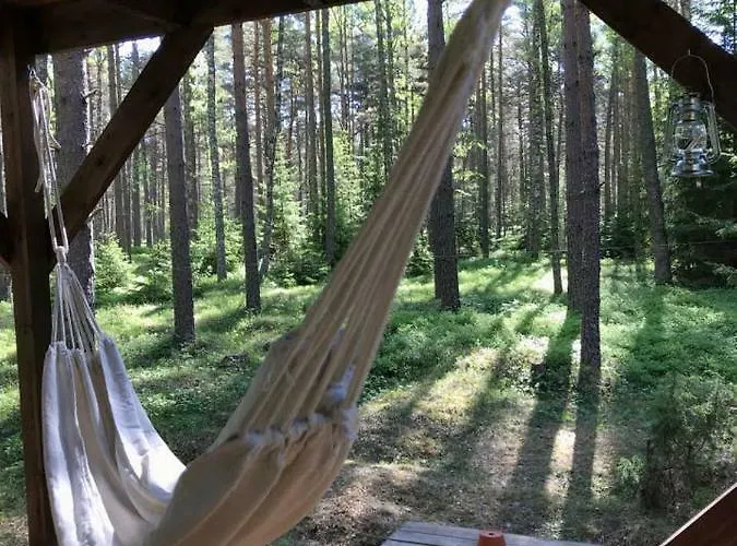 Tahkuna Tree-house Дом отдыха Malvaste