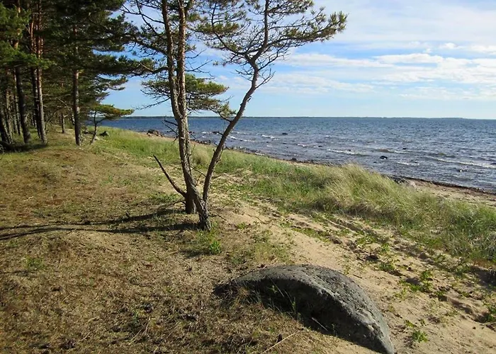 Holiday home Tahkuna Tree-house Malvaste