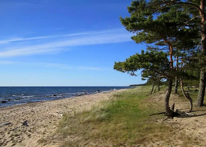 Tahkuna Tree-house * Malvaste