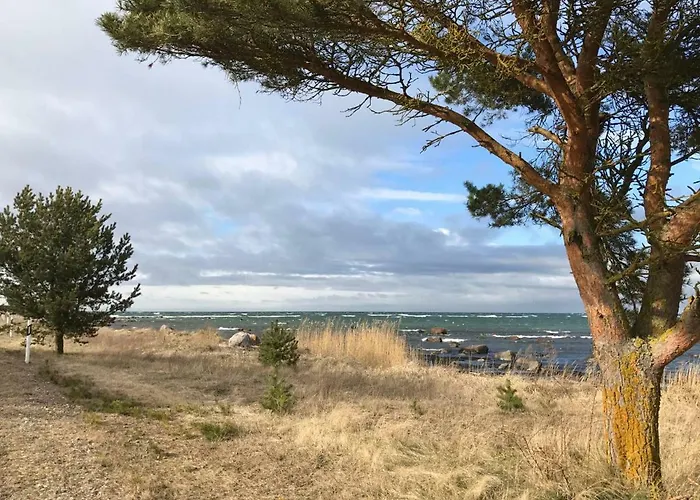 Дом отдыха Tahkuna Tree-house