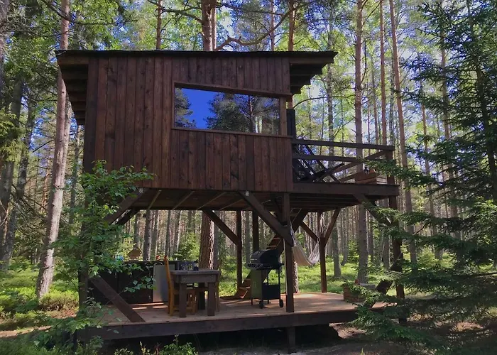 Tahkuna Tree-house Дом отдыха