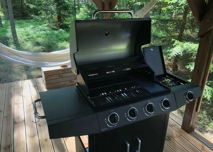 Tahkuna Tree-house *