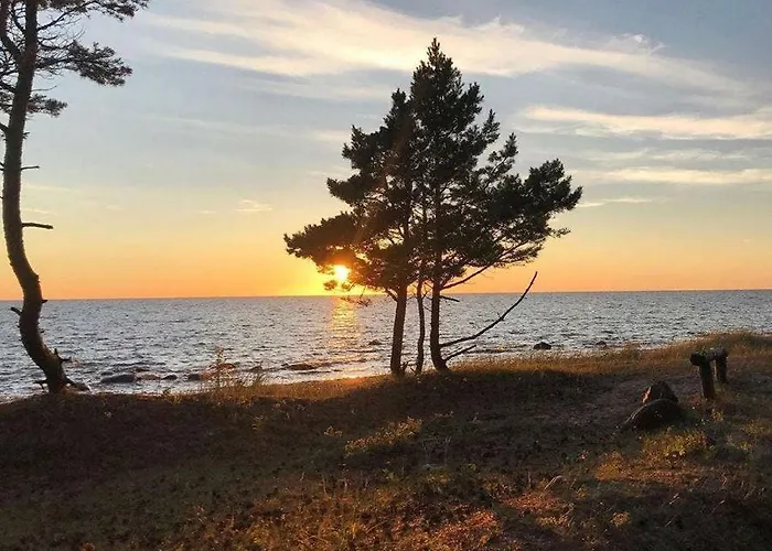 Дом отдыха Tahkuna Tree-house