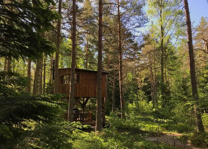 Tahkuna Tree-house