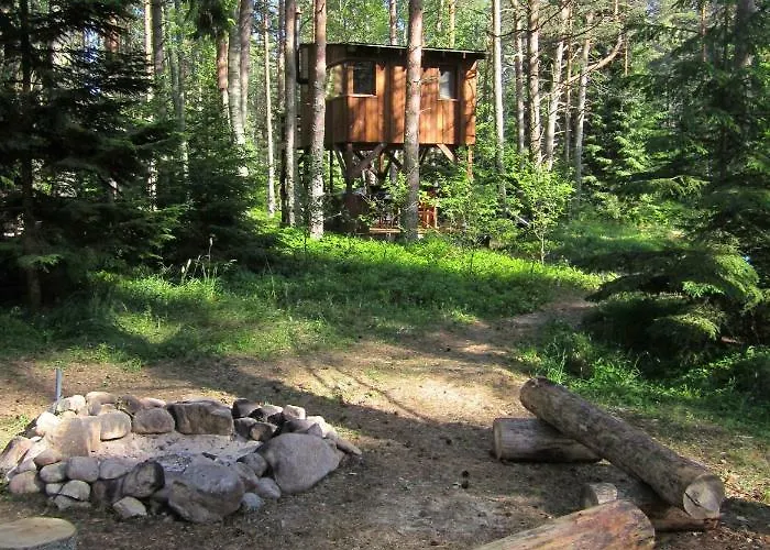 Дом отдыха Tahkuna Tree-house *