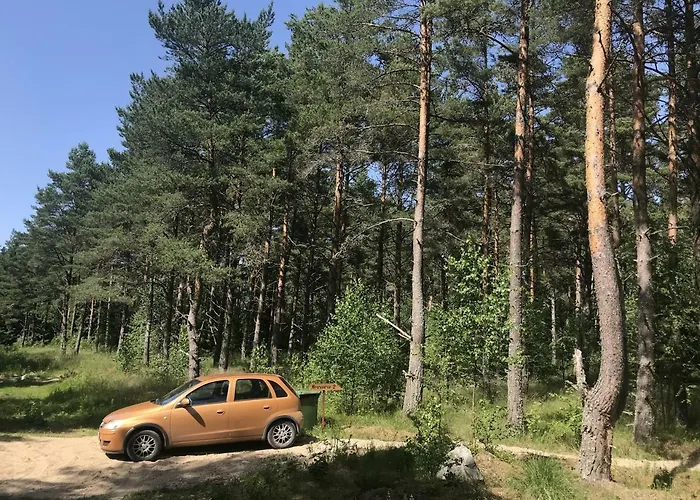 Tahkuna Tree-house *